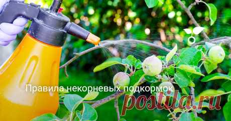 Правила некорневых подкормок Помимо привычного внесения удобрений корневым способом, под основание растения, существует и другой вариант – некорневой. Когда же прибегнуть к нему?