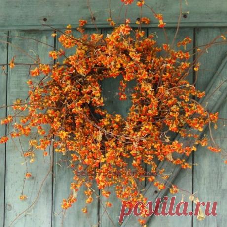 Bountiful Bittersweet Wreath