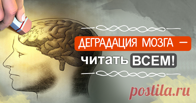 Деградация мозга — читать ВСЕМ! Есть те, кому далеко 70, но кто не имеет вообще никаких проблем ни с памятью, ни с мозговой активностью. Так в чем же причина?