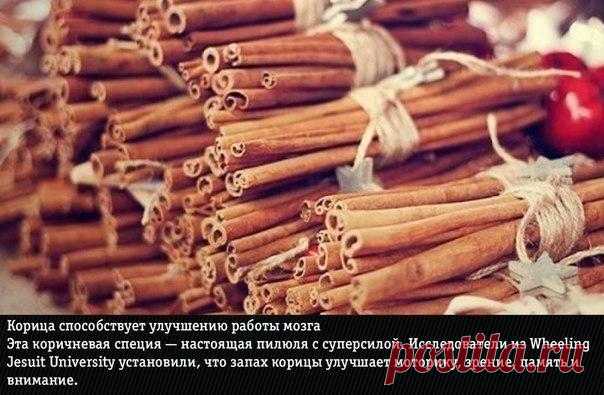9 природных ароматов, неожиданно меняющие эмоции человека.