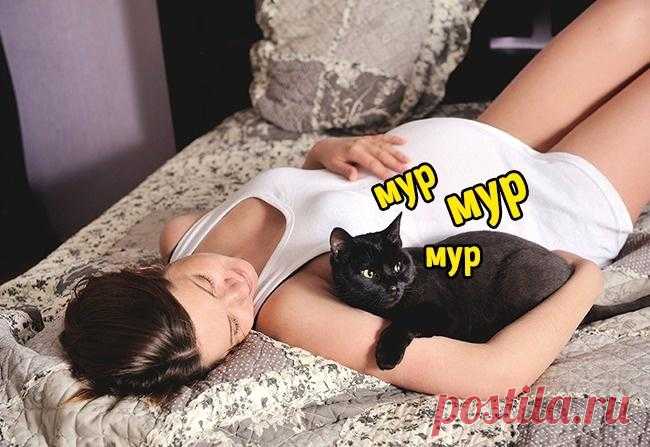 8 мифов о беременности, которые оказались правдой С первых недель беременности будущую маму начинают запугивать дурными приметами: волосы не стриги, одежду не покупай, вязать не вздумай. Но есть в некоторых суевериях и рациональное зерно.1. Если глад...