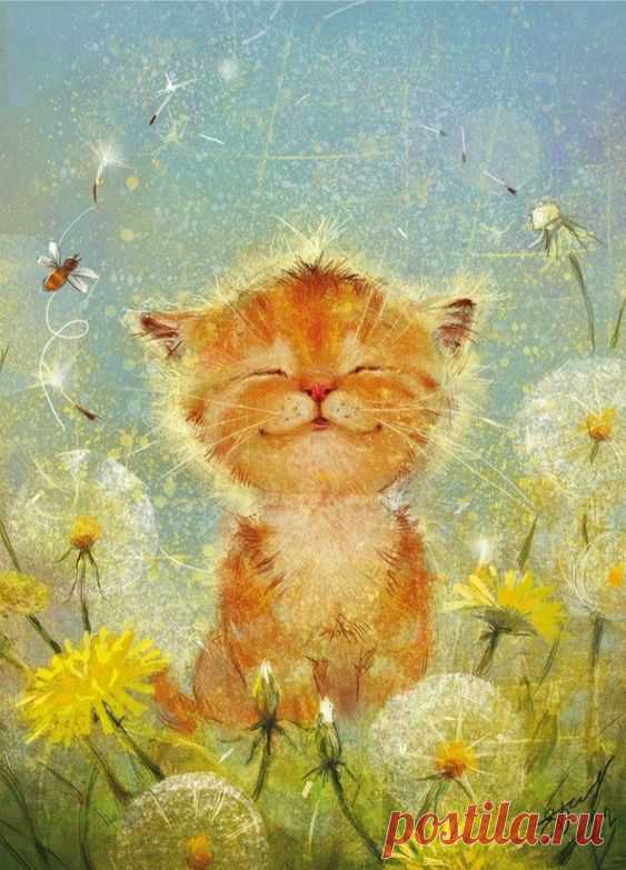 Pinterest
