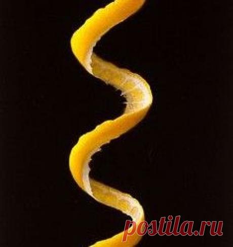 КОЖУРА ЦИТРУСОВЫХ, ЦЕННЕЙШИЙ «ПРОДУКТ» | Golbis