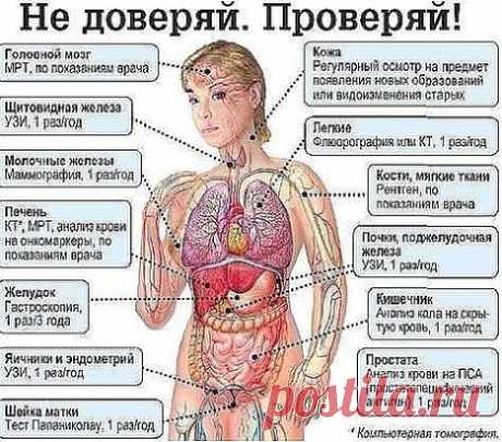 Когда проверять свой организм?