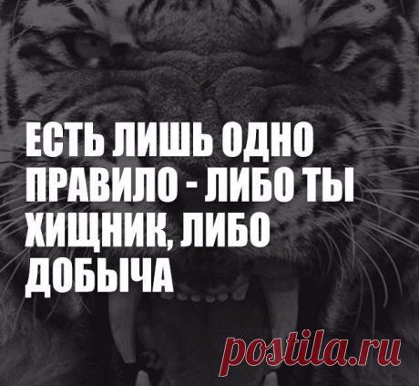 Интересные новости
