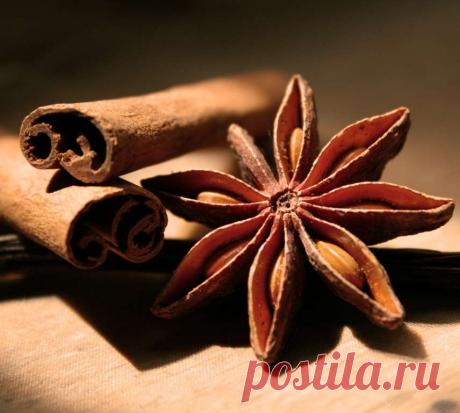 Как отличить натуральные специи и пряности от подделки