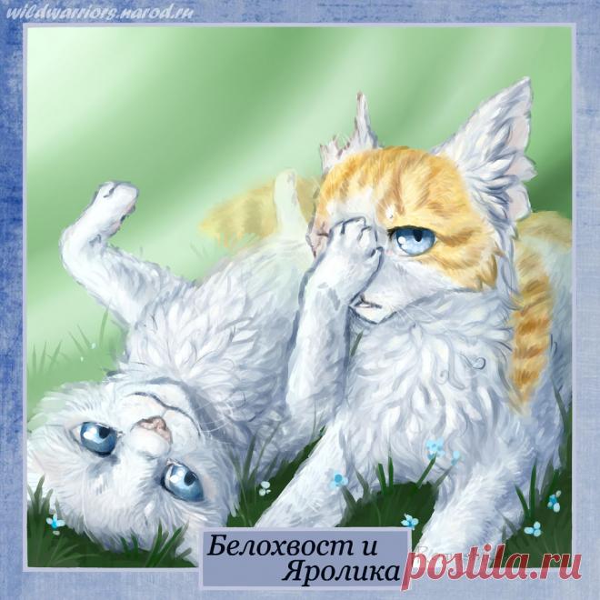 Cloudtail and Brightheart. Warriors by Romashik-arts on DeviantArt