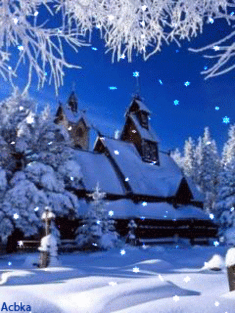 1100475.gif (240×320)