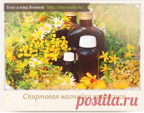 Спиртовая настойка прополиса - лечебные свойства и применение 