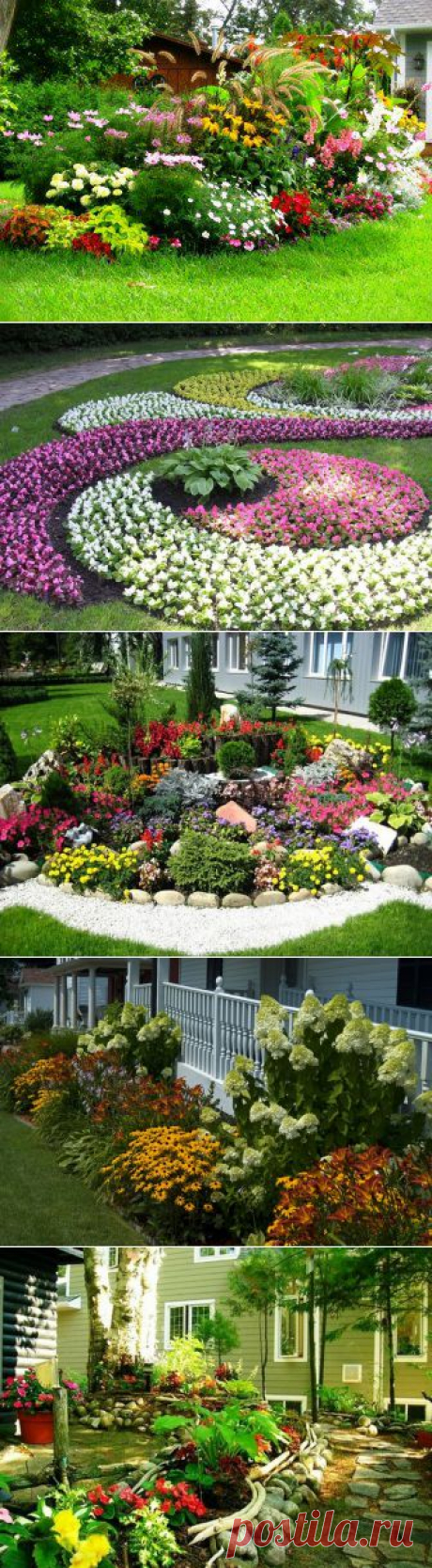 (+1) тема - Клумба непрерывного цветения: круглогодичное украшение сада | 6 соток