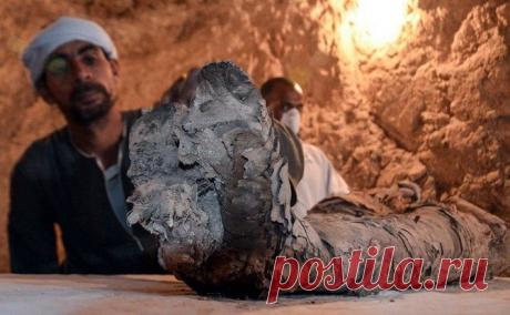 Древняя мастерская по мумификации и некрополь обнаружены в районе Саккара близ Каира | История