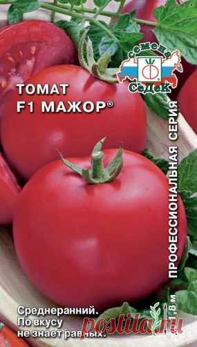 Томат Мажор: описание и характеристика, отзывы, фото | tomatland.ru