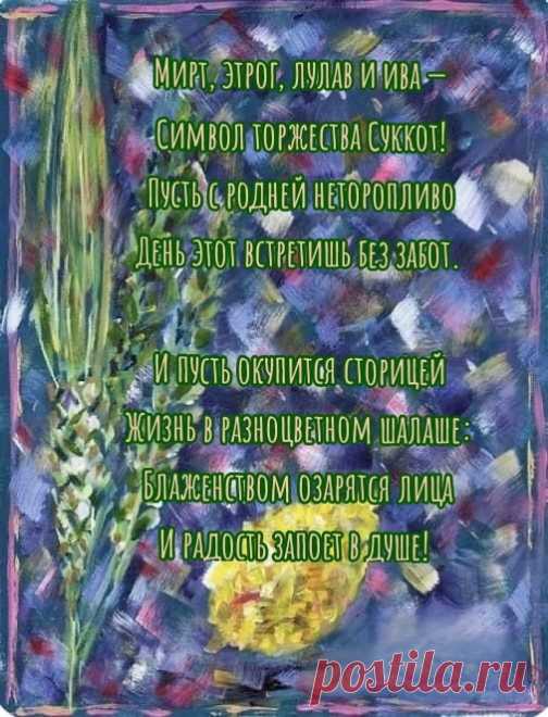 Тебя, как Израиля верного сына,
Поздравить с Суккотом мне необходимо!