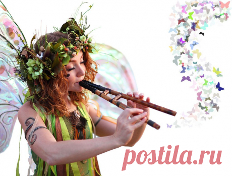 Twig the Fairy Butterfly Notes | Flickr - Photo Sharing!