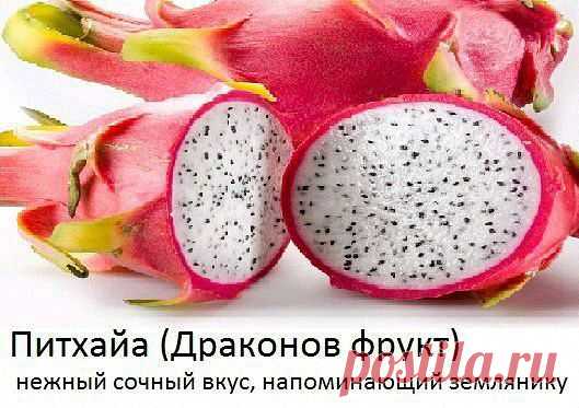 Приложение "Открытки"
Танюль Львенок Независимый