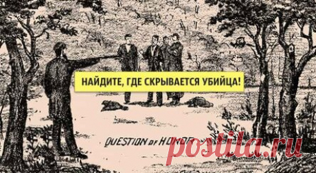 Сможете ли вы найти скрытого убийцу на этом изображении?