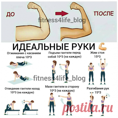 Тренировка для рук с гантелями Женский портал: гороскопы, новости звезд, отношения, мода