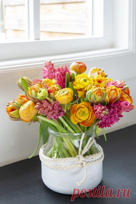 Ranunculus-Aazur-Orange.jpg (700×1049)