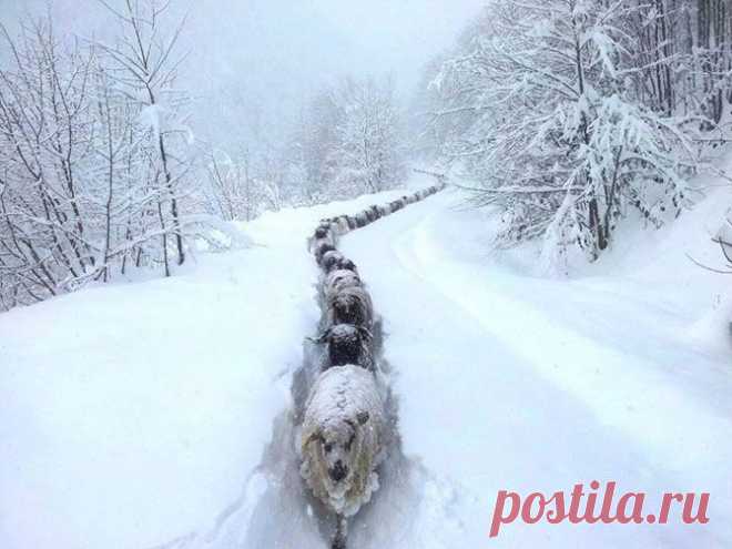 Прекрасные, смешные и душераздирающие снимки 2015 — Фотоискусство