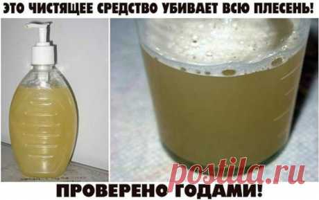 ЭТО ЧИСТЯЩЕЕ СРЕДСТВО УБИВАЕТ ВСЮ ПЛЕСЕНЬ!