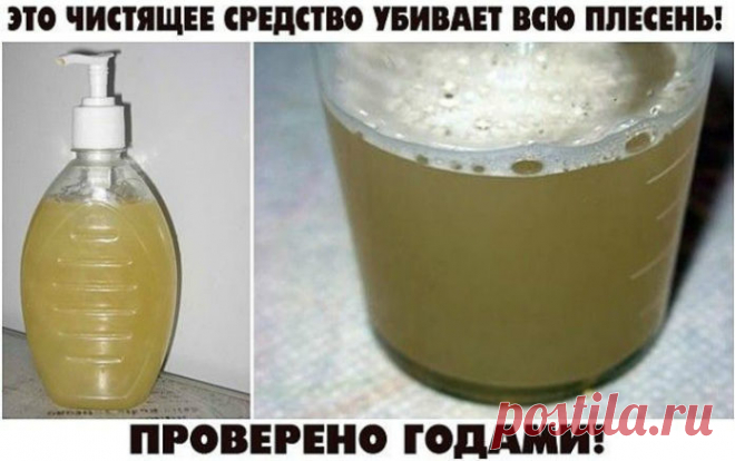 ЭТО ЧИСТЯЩЕЕ СРЕДСТВО УБИВАЕТ ВСЮ ПЛЕСЕНЬ!