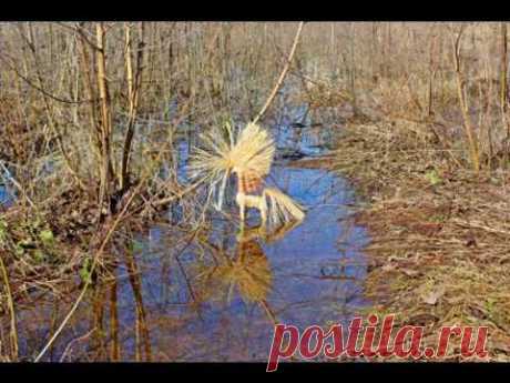 Солнечный конь Константин