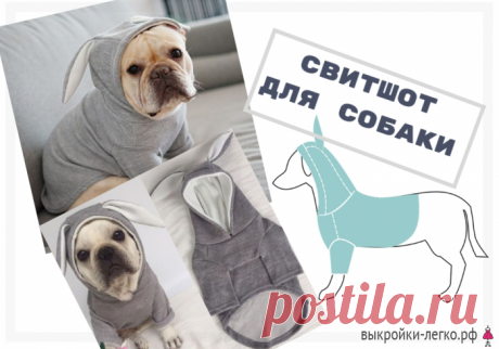 Выкройки для собак. Свитшот | Готовые выкройки и уроки по построению на Выкройки-Легко.рф