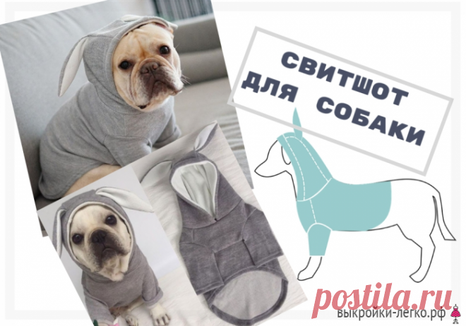Выкройки для собак. Свитшот | Готовые выкройки и уроки по построению на Выкройки-Легко.рф