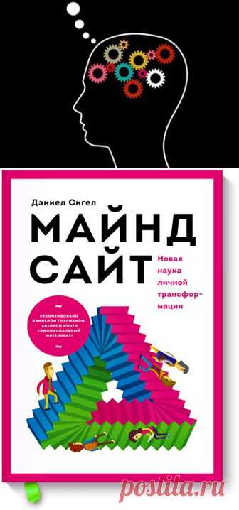 Дэниел Сигел “Майндсайт”. Рецензия книги о познании сознания и поиска гармонии с миром.