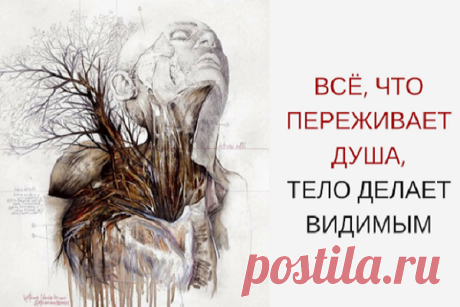 Всё, что переживает душа, тело делает видимым
Всё, что переживает душа, тело делает видимым Термин «стресса» ввёл канадский учённый Ганс Селье, позаимствовав его из сопромата. Стресс — это давление, напряжение, вызванное вследствие воздействия окружающей среды на какой-то предмет и означает — усталость материала,вызванную этим напряжением. С тех пор слово «стресс» стало международным и означает...
Читай дальше на сайте. Жми подробнее ➡
