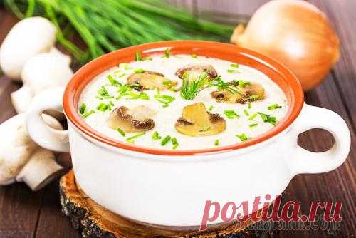 Грибной крем-суп из шампиньонов рецепт