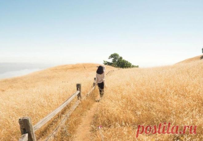 Путешествия от 250-700 долларов в кошельке Вы наверняка видели подборки самых красивых мест на Земле: лазурная вода на Мальдивах, пляжи Белой гавани в Австралии, соляная пустыня в Боливии. Но стоит начать планировать путешествие, чтобы увидеть эту красоту своими глазами, как становится ясно: бюджет на поездку превышает все разумные пределы. Что делать? Выбирать более экономичные варианты!