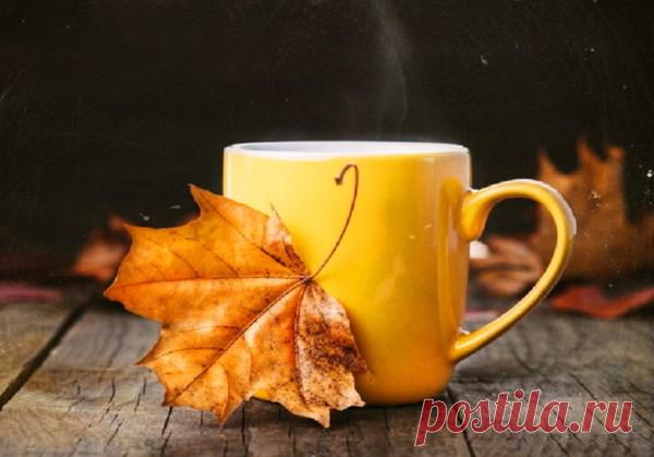 Кленовый лист... – КРАСИВЫЕ КАРТИНКИ. ВИДЕО. МИР, В КОТОРОМ МЫ ЖИВЕМ! , пользователь Тумбина Марина | Группы Мой Мир