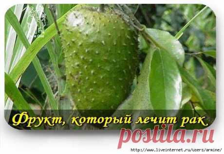 Фрукт, который лечит рак и его действие в 10.000 раз мощнее химиотерапии..