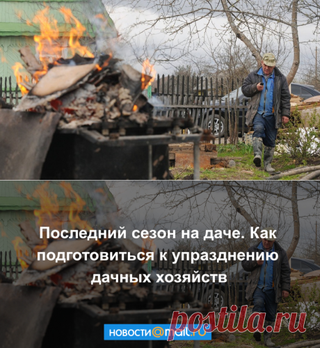 Последний сезон на даче. Как подготовиться к упразднению дачных хозяйств - Новости Mail.Ru