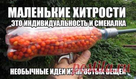 Дачный советник