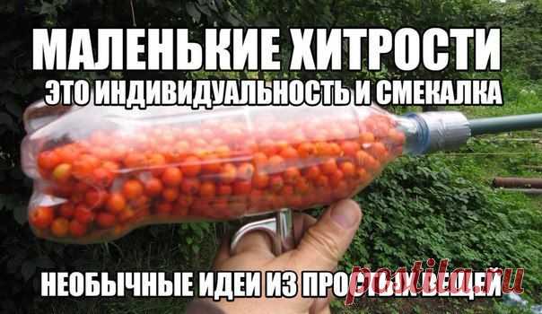 Дачный советник