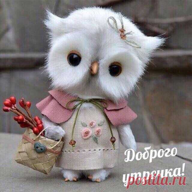 (1) Группа 