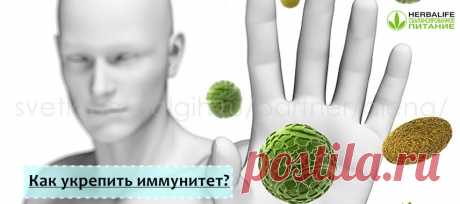 Иммьюн Бустер Гербал отзывы | Herbal отзывы