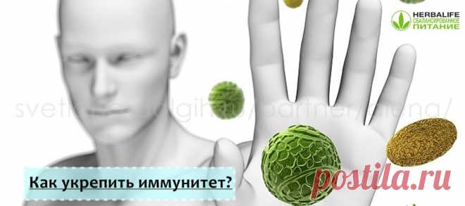 Иммьюн Бустер Гербал отзывы | Herbal отзывы