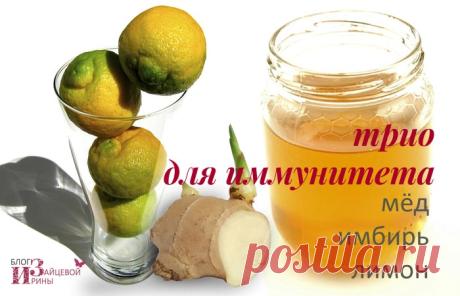 Имбирь c лимоном и мед. Рецепты здоровья | Блог Ирины Зайцевой