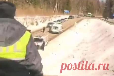 Появилось видео с места падения автобуса с эстакады в Подмосковье. В сети появились кадры с места аварии на трассе М-9 «Балтия» в подмосковном Волоколамске, в результате которой рейсовый автобус упал с моста. Видеозапись публикует Telegram-канал 360tv. На кадрах видно, что рядом с местом аварии находятся сотрудники экстренных служб, движение по дороге в обе стороны заблокировано.
