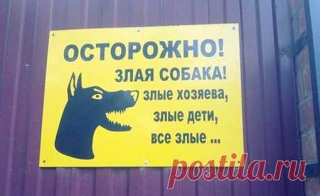 20 жизненных объявлений
