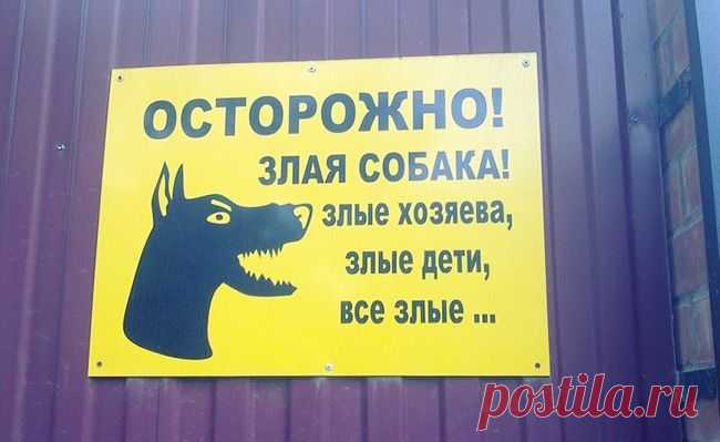 20 жизненных объявлений