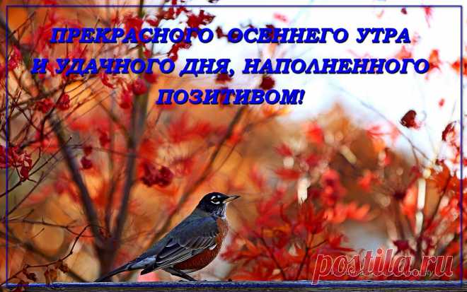 ПРЕКРАСНОГО ОСЕННЕГО УТРА И ОТЛИЧНОГО НАСТРОЕНИЯ!