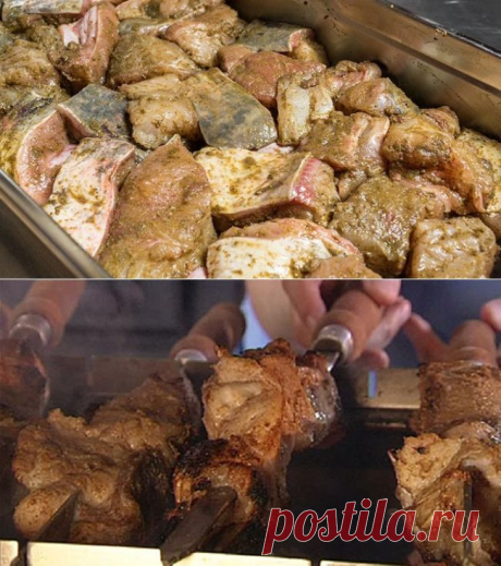 Рецепты шашлыка из толстолобика и сома | Охота и рыбалка