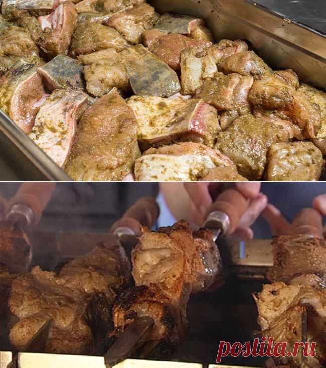 Рецепты шашлыка из толстолобика и сома | Охота и рыбалка