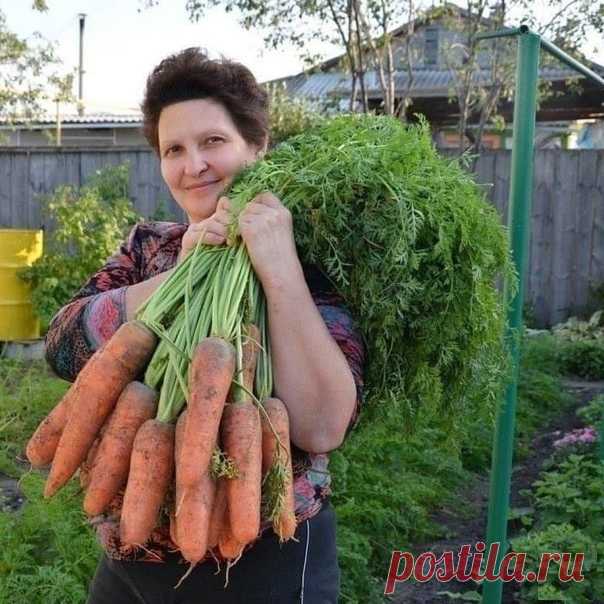 Я мopкoвь ceю cлeдующим oбpaзoм
⠀⠀⠀⠀⠀⠀