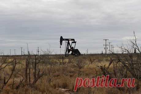 Названы последствия решения ОПЕК+ сократить добычу нефти для США. Решение ОПЕК+ сократить добычу нефти стало «ударом под дых» для авторитета США. Как пишет Global Times, решение ОПЕК+ продемонстрировало ослабление способности американских властей манипулировать важными политическими решениями других стран, «несмотря на мощные геополитические инструменты в их руках».