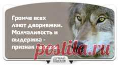 (102) 20f84193fc8b8e1069c469e1ecb7e618.jpg 640×930 пікс. | card